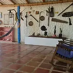 El refugio del tiburón