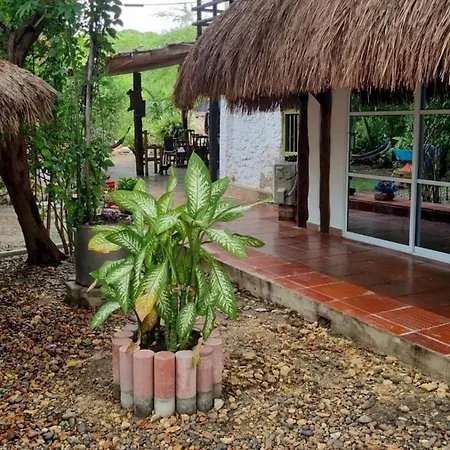 El Refugio Del Tiburón * Cartagena