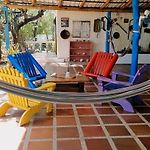 El refugio del tiburón
