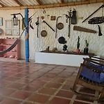 El refugio del tiburón