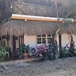 El refugio del tiburón