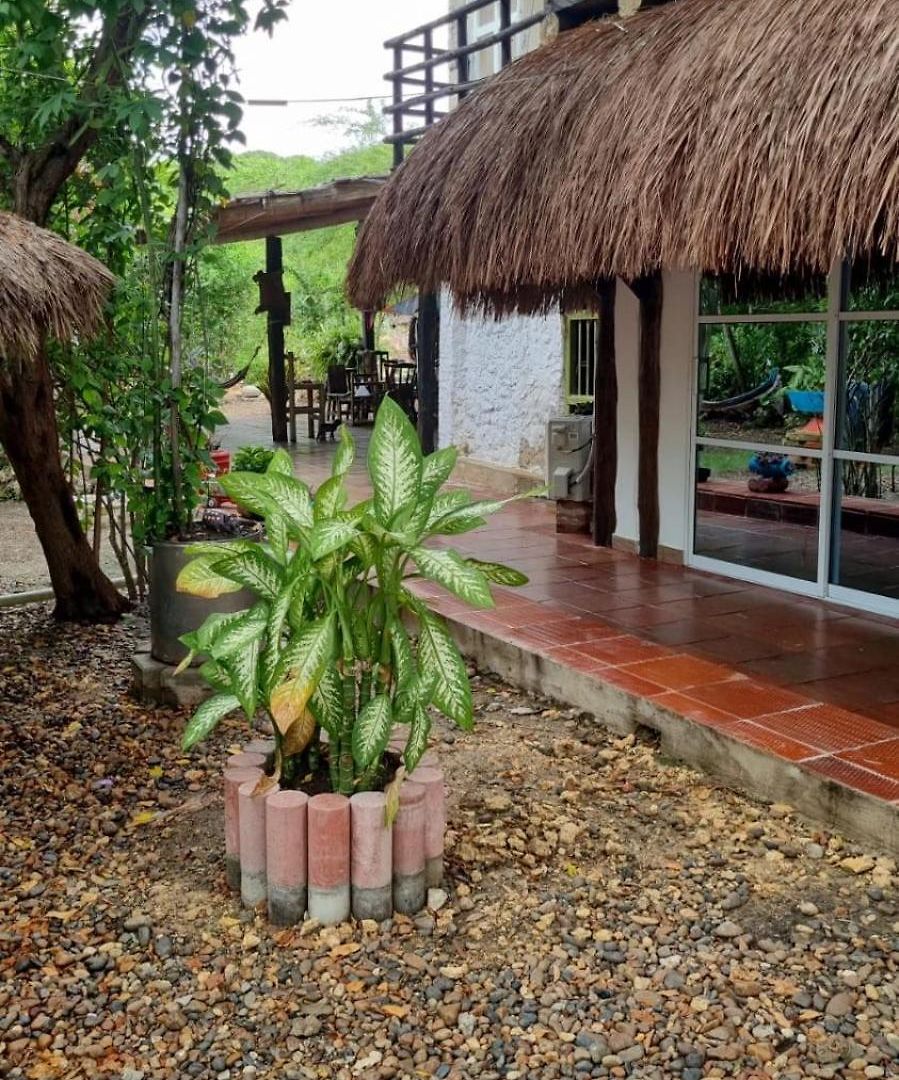El Refugio Del Tiburón * Cartagena
