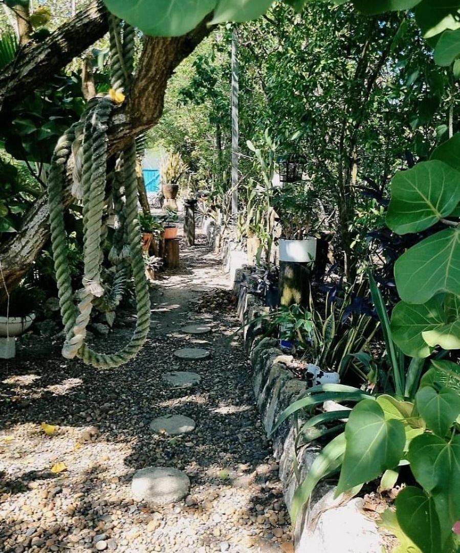 El Refugio Del Tiburón Cartagena