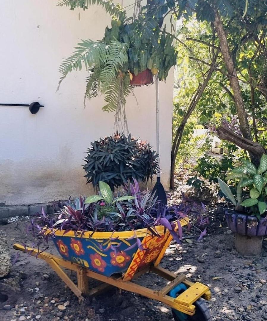 Pensión El Refugio Del Tiburón *