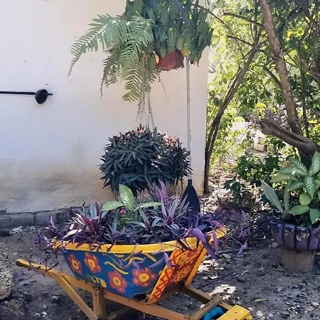 Guest house El Refugio Del Tiburon *