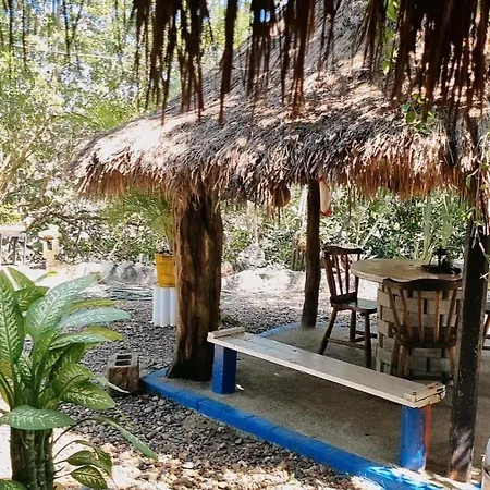 El Refugio Del Tiburon * Cartagena