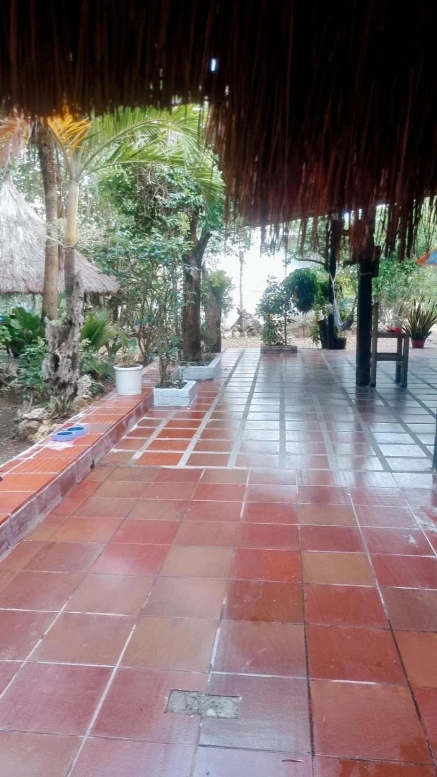 Guest house El Refugio Del Tiburon Cartagena