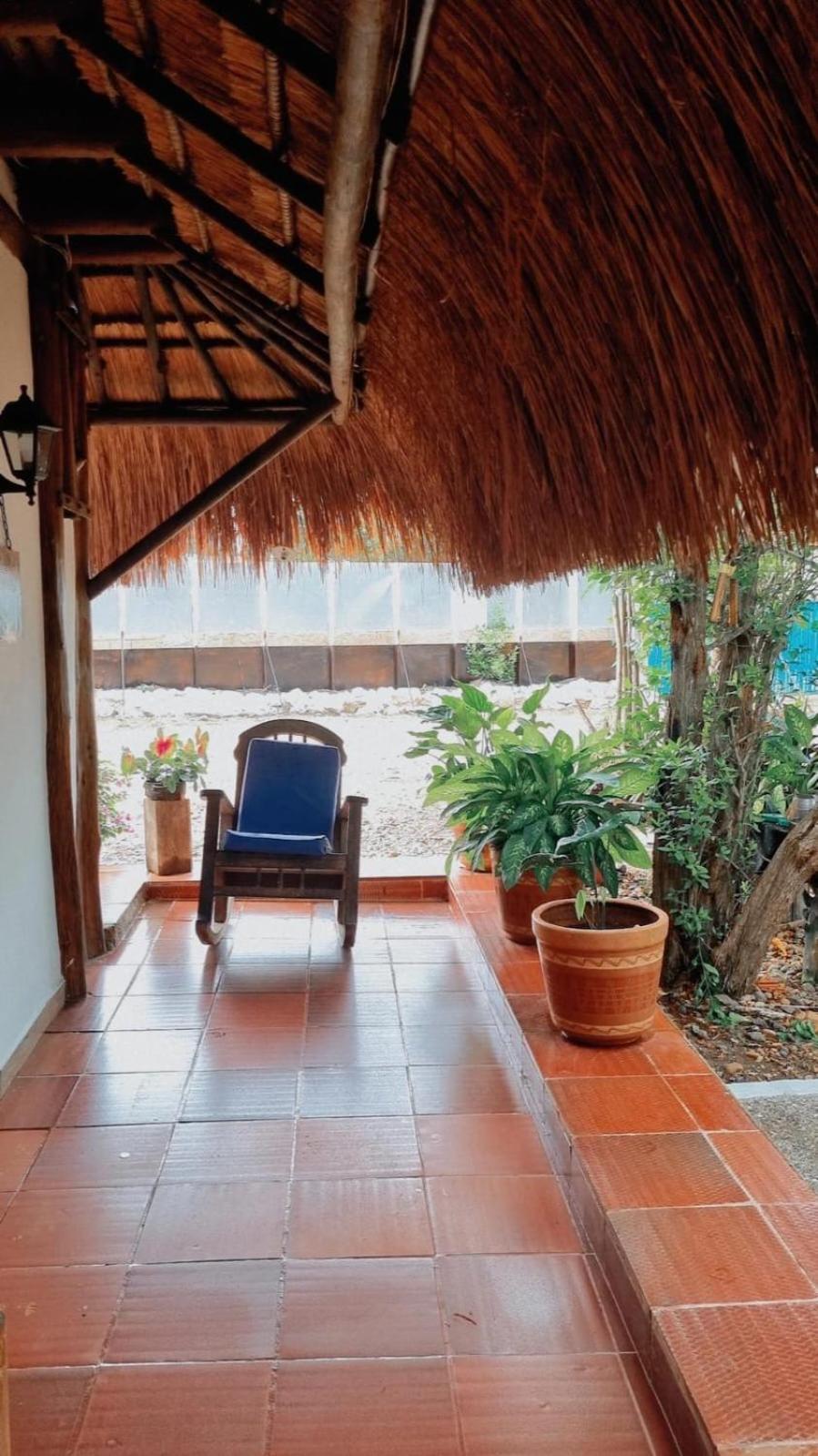 El Refugio Del Tiburon Cartagena