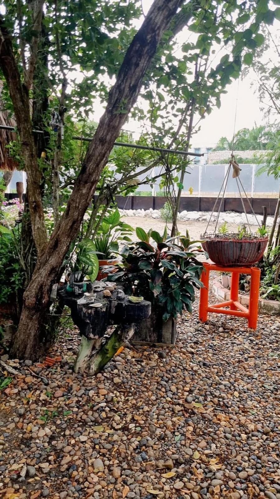 Guest house El Refugio Del Tiburon