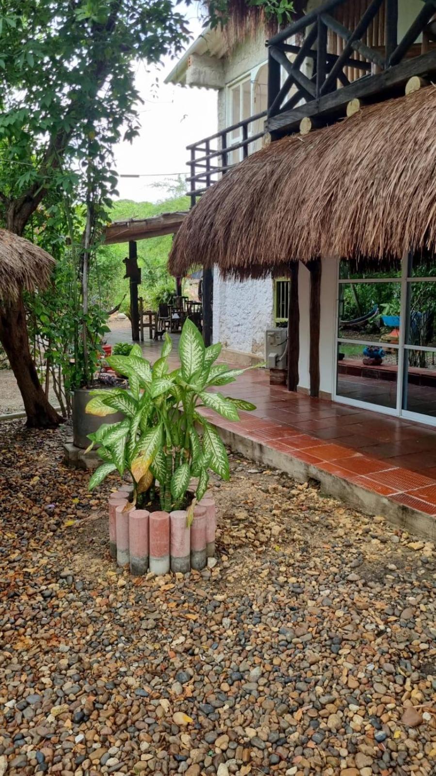 El Refugio Del Tiburon * Cartagena