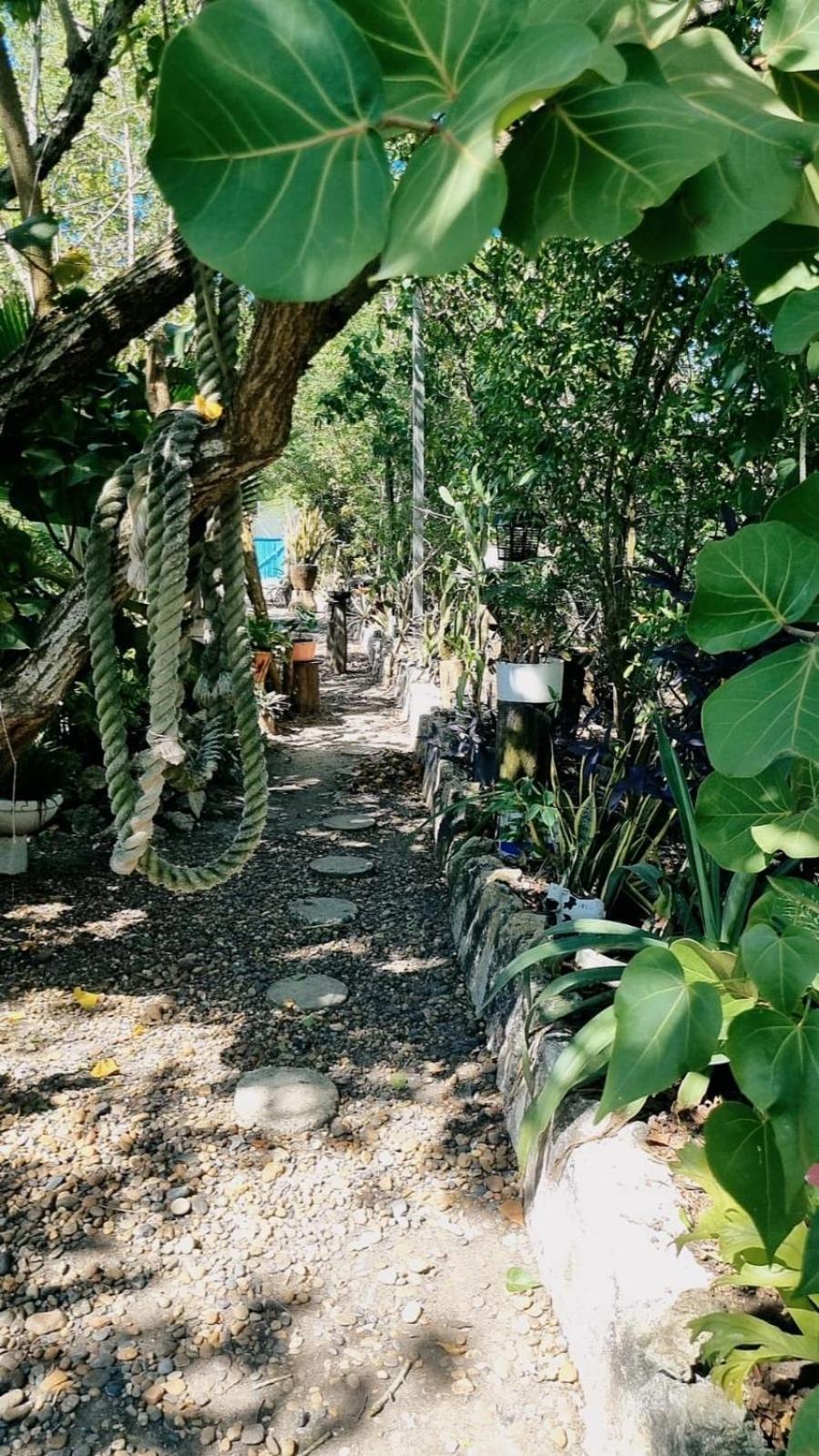 El Refugio Del Tiburon Cartagena