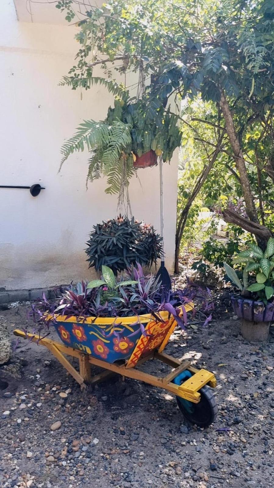 Guest house El Refugio Del Tiburon *