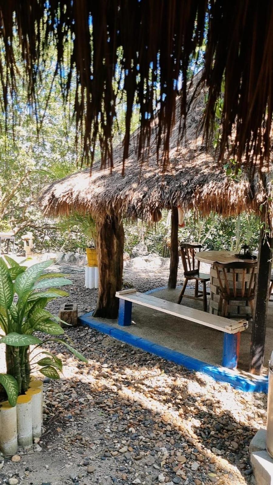 El Refugio Del Tiburon * Cartagena